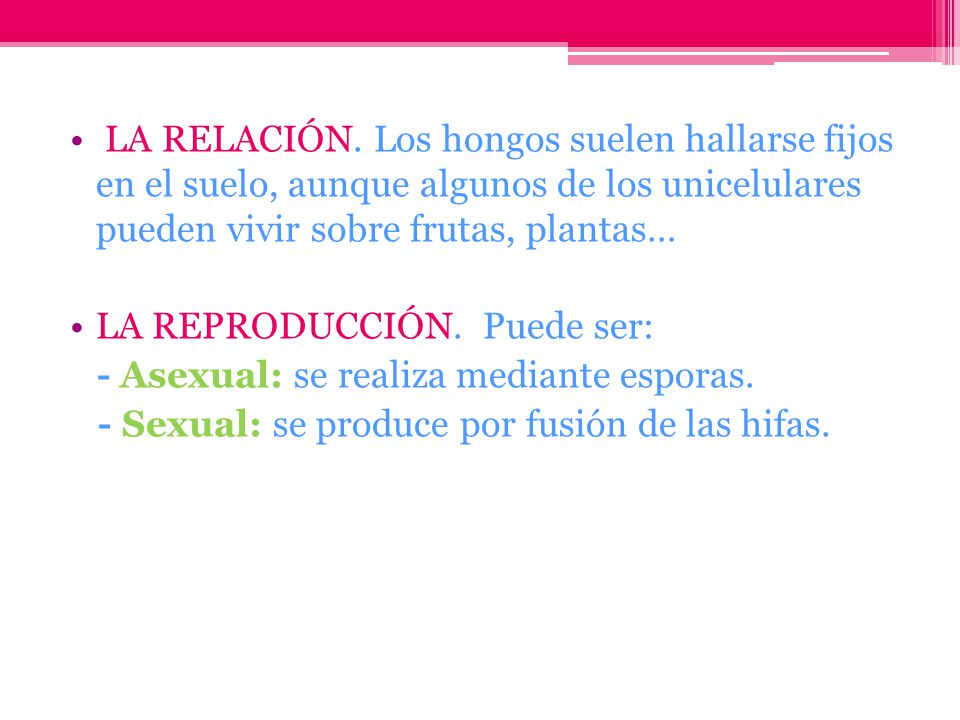 La instrucción por la profiláctica de los parásitos